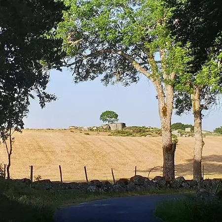 Apartament 6 Pers Sur L'aubrac A Proximite De Nasbinals Prinsuejols-Malbouzon
