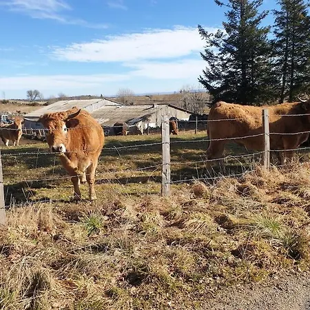Appartement 6 pers sur l'Aubrac * Prinsuejols-Malbouzon
