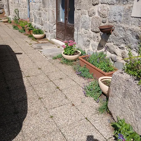 6 Pers Sur L'aubrac A Proximite De Nasbinals Διαμέρισμα
