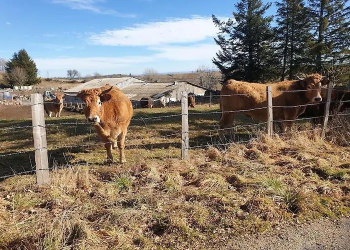 Appartement 6 pers sur l'Aubrac * Prinsuejols-Malbouzon